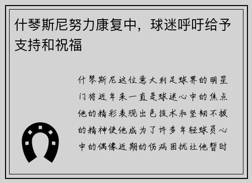 什琴斯尼努力康复中，球迷呼吁给予支持和祝福