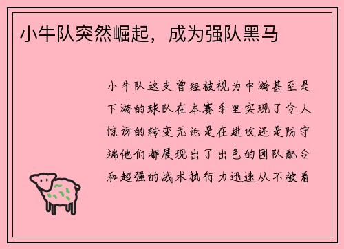 小牛队突然崛起，成为强队黑马