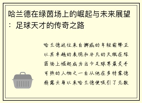 哈兰德在绿茵场上的崛起与未来展望：足球天才的传奇之路