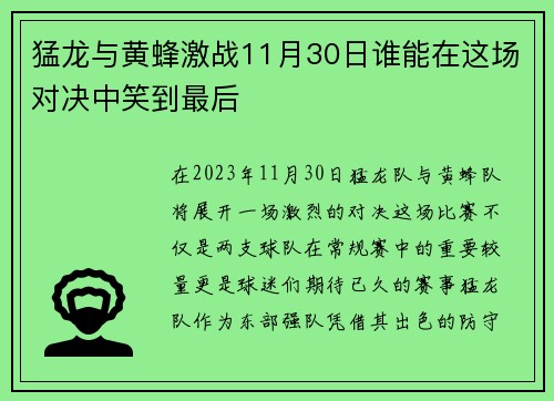 猛龙与黄蜂激战11月30日谁能在这场对决中笑到最后