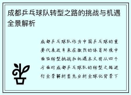 成都乒乓球队转型之路的挑战与机遇全景解析
