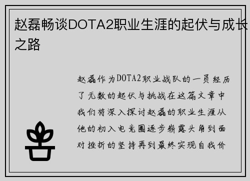 赵磊畅谈DOTA2职业生涯的起伏与成长之路
